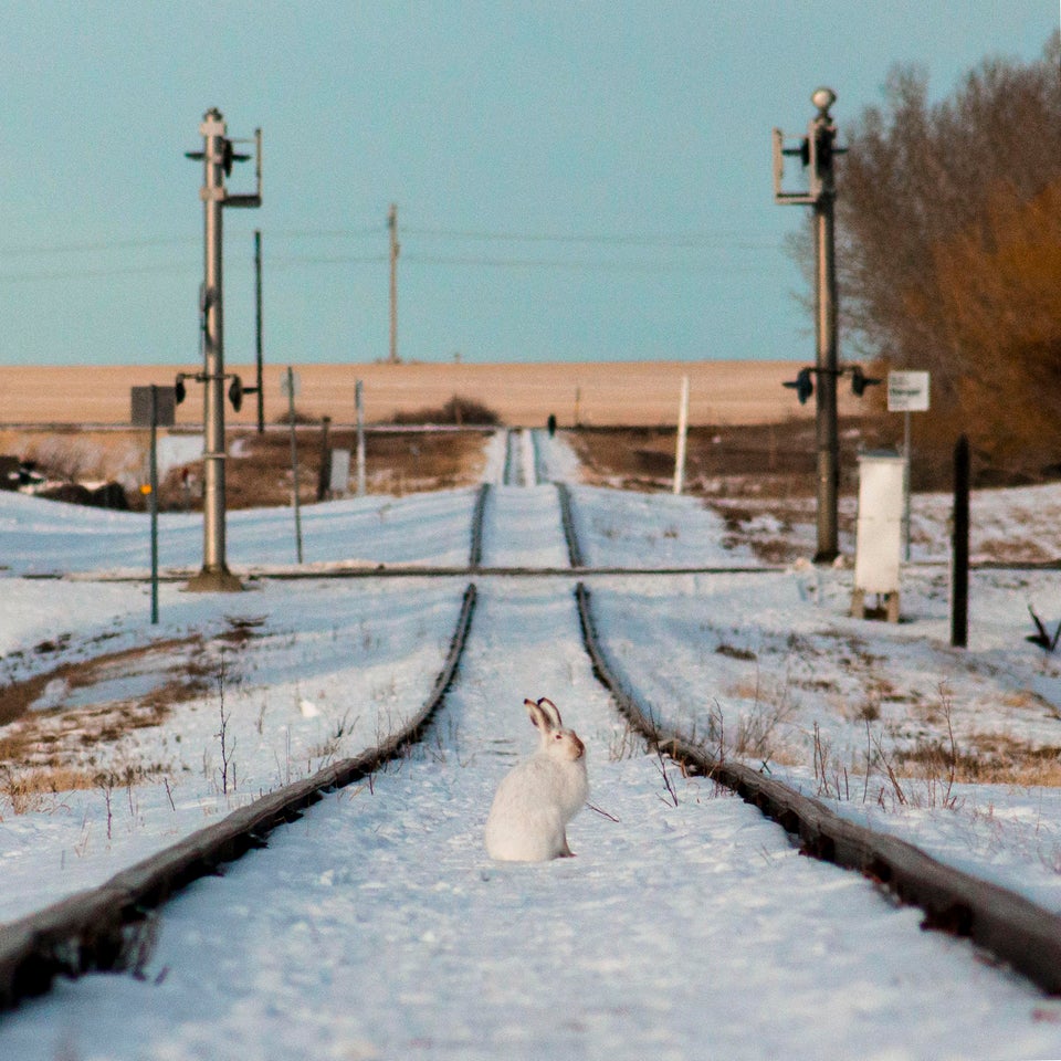 Symmetry and Timing